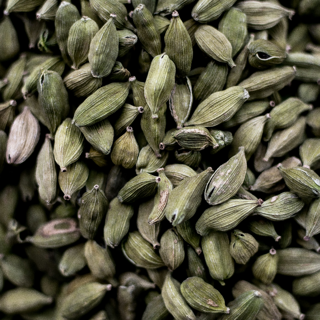 Close-up of green cardamom pods