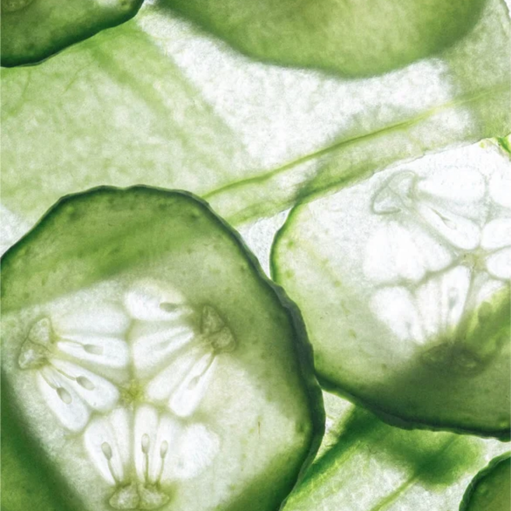 Close-up of sliced cucumbers with a light background