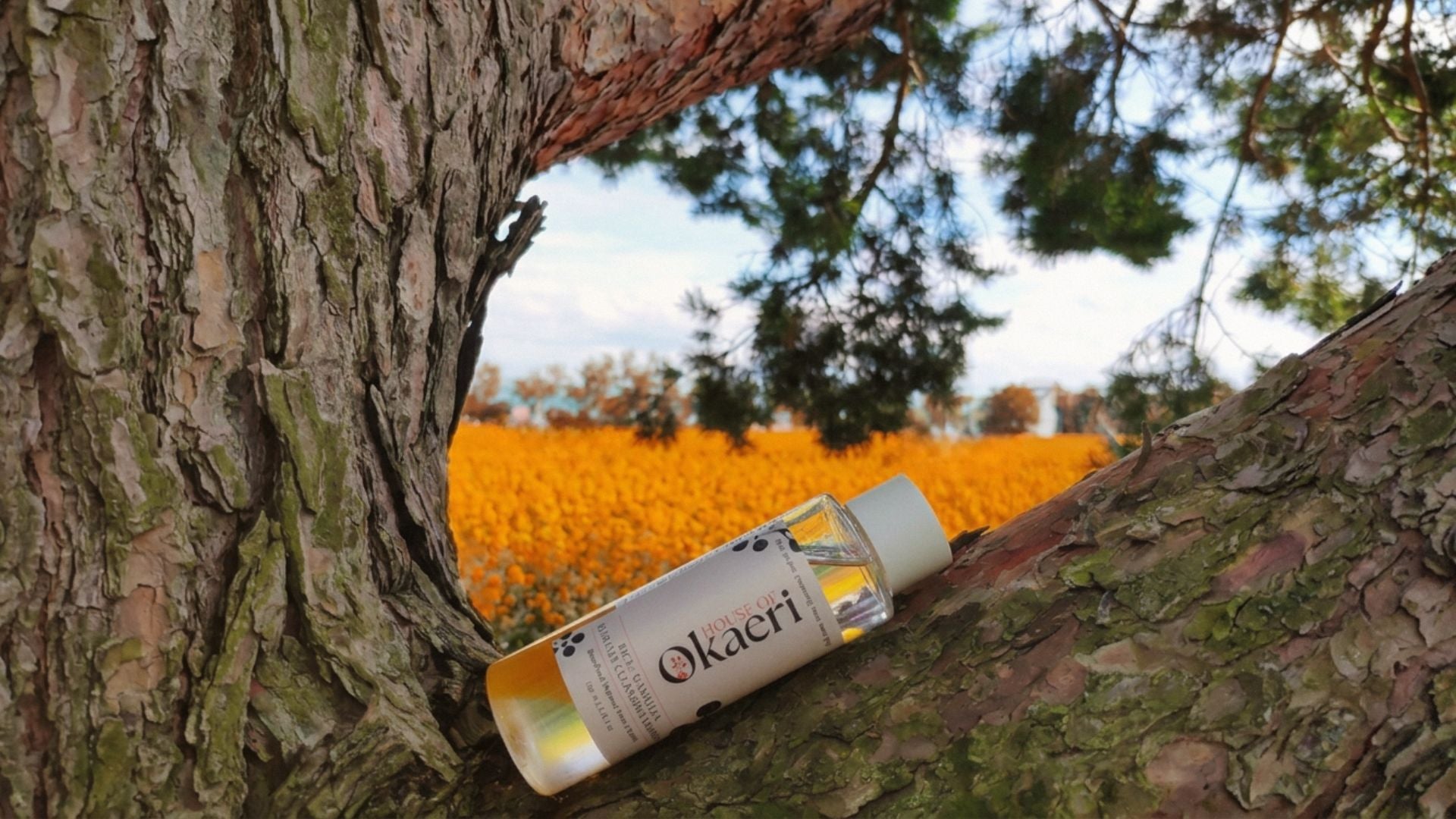 A bottle of Okaeri hair facial essence cleanser on a tree trunk with a blurred outdoor background of green trees and a field of yellow flowers.